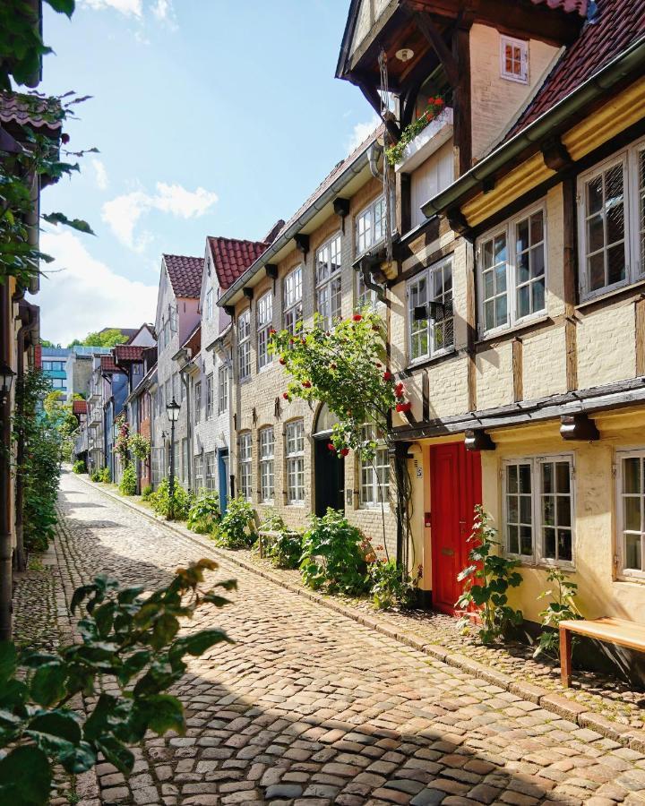 Appartamento Ferienhus #2 Nordfriesland Mildstedt Esterno foto