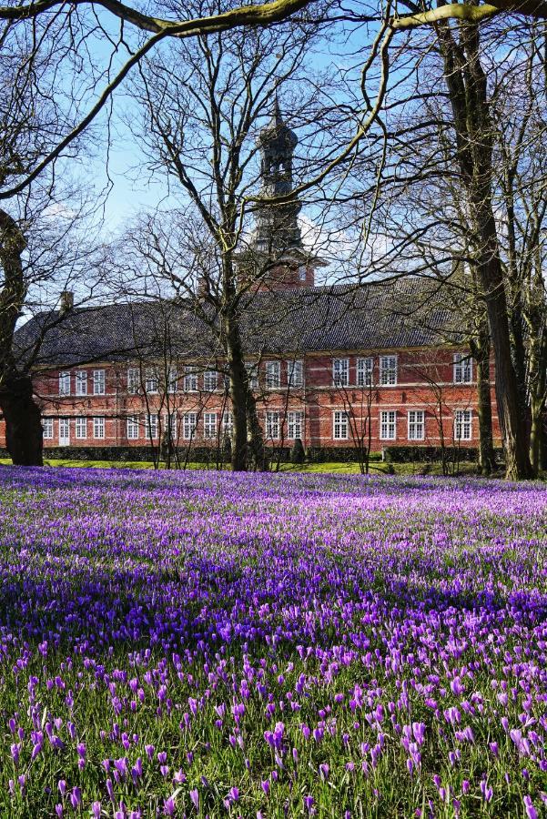 Appartamento Ferienhus #2 Nordfriesland Mildstedt Esterno foto
